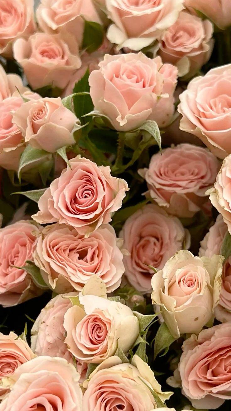 Corporate meeting room with carefully timed floral arrangements that maintain elegance throughout business hours